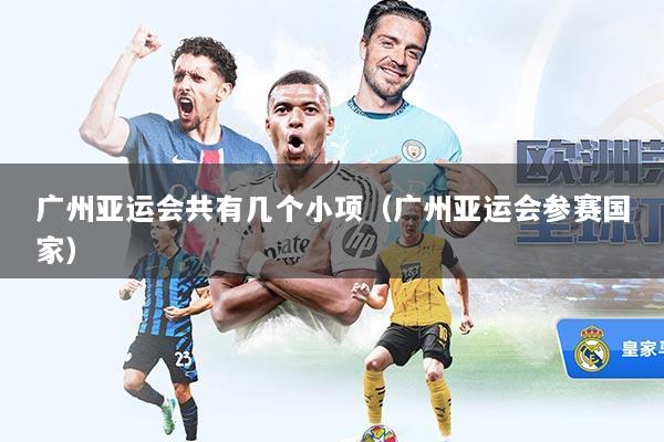 广州亚运会共有几个小项（广州亚运会参赛国家）