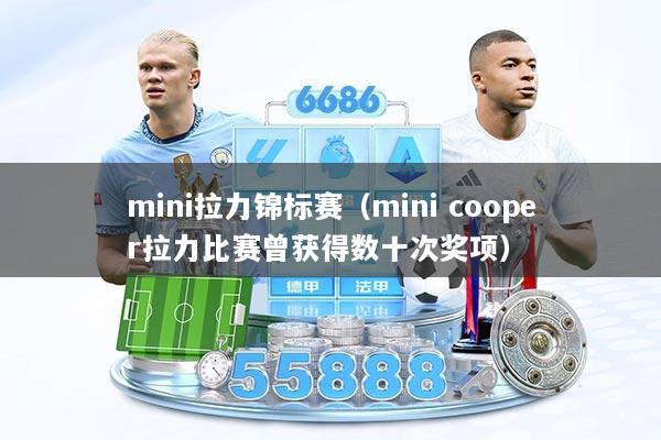 mini拉力锦标赛（mini cooper拉力比赛曾获得数十次奖项）